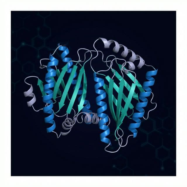 Peroxiredoxin & Redox Biology